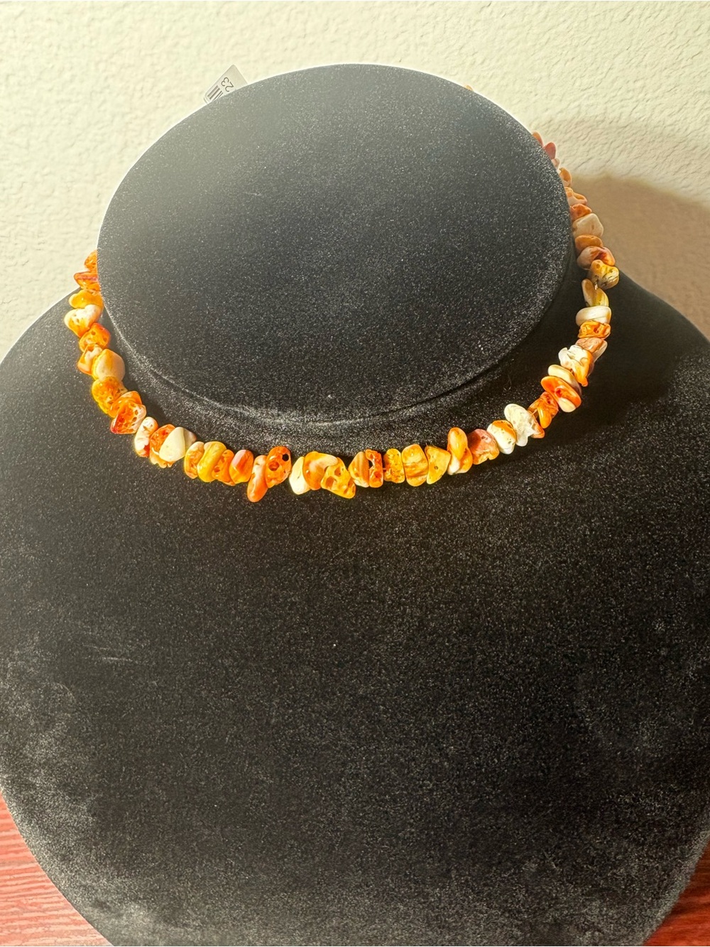 Spiny Oyster Chip Choker
